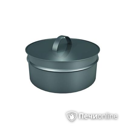 Заглушки Теплов и Сухов Заглушка ревизии Термо-Р 304 0.5 D220(120) в Краснокамске