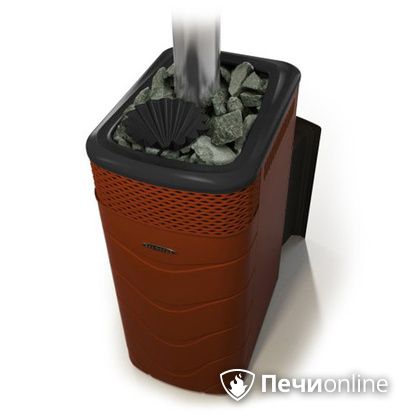 Дровяная банная печь TMF Гейзер XXL 2017 Inox Витра закрытая каменка терракота в Краснокамске